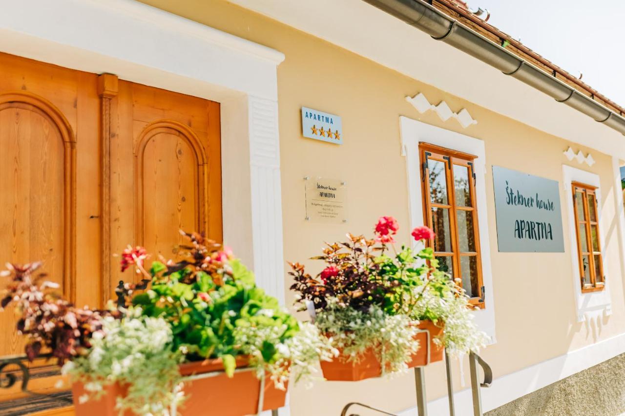 Stekner House Apartma Ljubno Екстер'єр фото